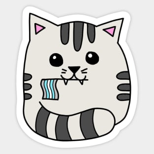 demiboy pride flag cat Sticker